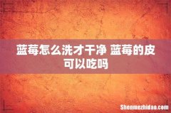 蓝莓怎么洗才干净 蓝莓的皮可以吃吗