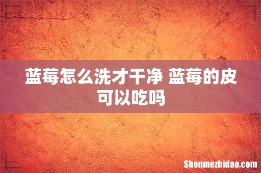 蓝莓怎么洗才干净 蓝莓的皮可以吃吗