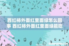 西红柿外面红里面绿怎么回事 西红柿外面红里面绿能吃吗