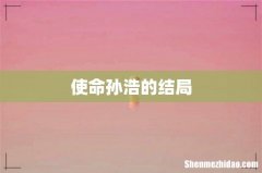 使命孙浩的结局