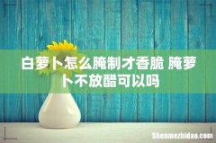 白萝卜怎么腌制才香脆 腌萝卜不放醋可以吗