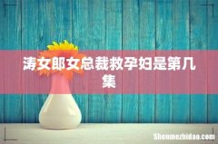 涛女郎女总裁救孕妇是第几集