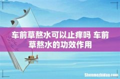 车前草熬水可以止痒吗 车前草熬水的功效作用