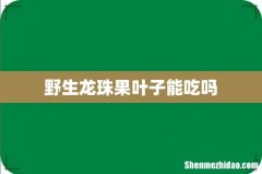 野生龙珠果叶子能吃吗