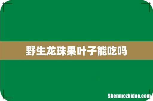 野生龙珠果叶子能吃吗
