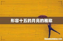 形容十五的月亮的雅称