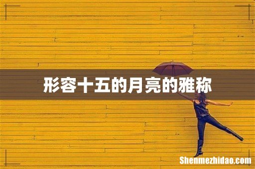 形容十五的月亮的雅称
