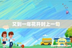 又到一年花开时上一句