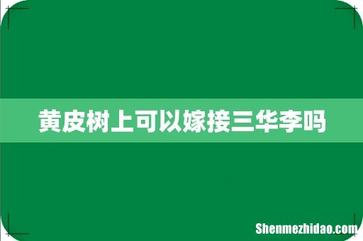 黄皮树上可以嫁接三华李吗
