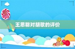 王思聪对胡歌的评价