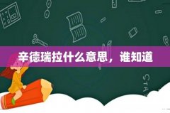 辛德瑞拉什么意思，谁知道