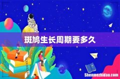 斑鸠生长周期要多久