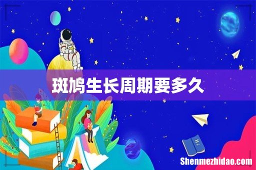 斑鸠生长周期要多久