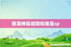 夜凛神探成阳和谁是cp