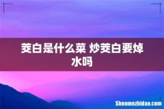 茭白是什么菜 炒茭白要焯水吗
