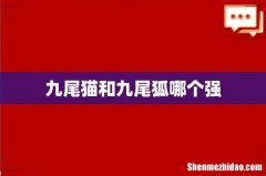 九尾猫和九尾狐哪个强