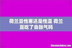荷兰豆性寒还是性温 荷兰豆吃了会胀气吗