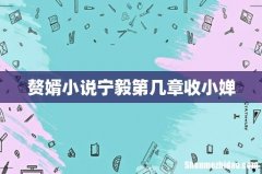 赘婿小说宁毅第几章收小婵