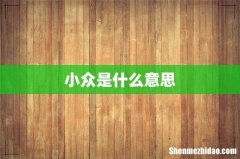 小众是什么意思