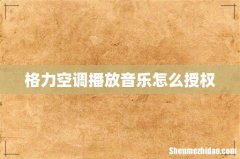格力空调播放音乐怎么授权