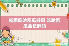 减肥吃哈密瓜好吗 吃哈密瓜会长胖吗