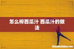 怎么榨西瓜汁 西瓜汁的做法