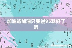 加油站加油只要说95就好了吗