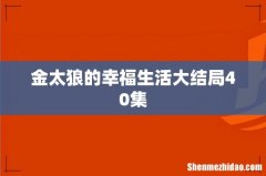 金太狼的幸福生活大结局40集
