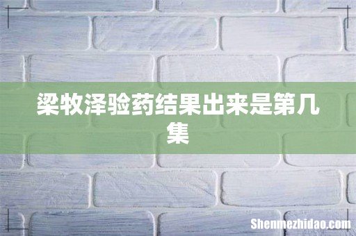 梁牧泽验药结果出来是第几集