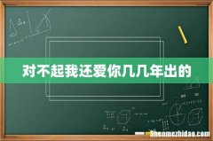 对不起我还爱你几几年出的