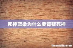 死神蓝染为什么要背叛死神