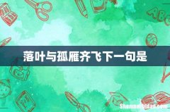 落叶与孤雁齐飞下一句是