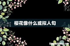 樱花像什么或拟人句
