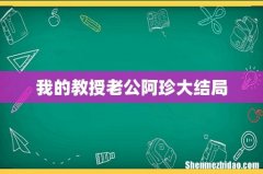 我的教授老公阿珍大结局