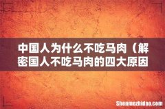 解密国人不吃马肉的四大原因 中国人为什么不吃马肉