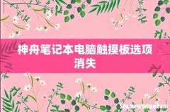 神舟笔记本电脑触摸板选项消失