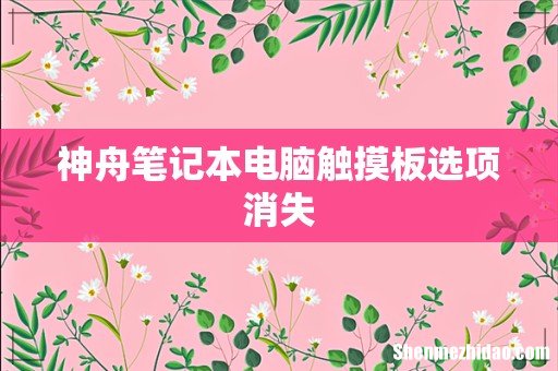 神舟笔记本电脑触摸板选项消失