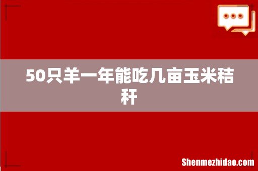 50只羊一年能吃几亩玉米秸秆