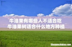 牛油果有哪些人不适合吃 牛油果树适合什么地方种植