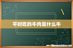平时吃的牛肉是什么牛