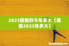 属猴2023年多大 2023属猴的今年多大
