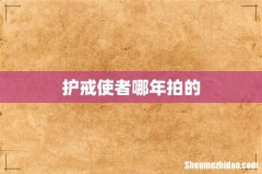 护戒使者哪年拍的