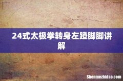 24式太极拳转身左蹬脚脚讲解