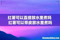 红薯可以直接放水里煮吗 红薯可以带皮放水里煮吗