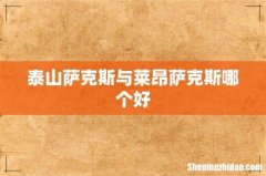泰山萨克斯与莱昂萨克斯哪个好