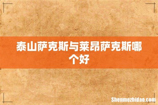 泰山萨克斯与莱昂萨克斯哪个好