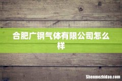 合肥广钢气体有限公司怎么样