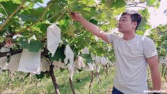 陈村龙济门诊怎么样 陈村龙济门诊怎么样啊