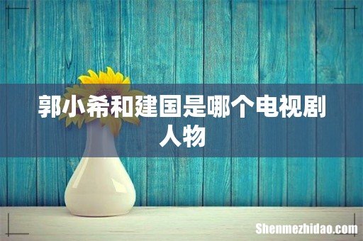 郭小希和建国是哪个电视剧人物