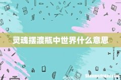 灵魂摆渡瓶中世界什么意思